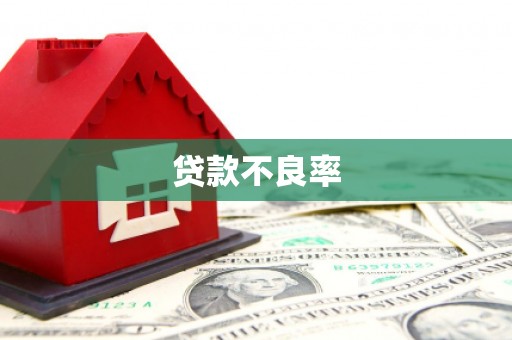 中正贷款不良率