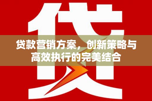中正贷款营销方案，创新策略与高效执行的完美结合