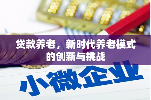 中正贷款养老，新时代养老模式的创新与挑战