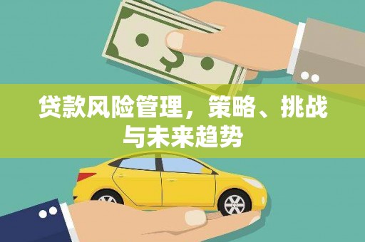 中正贷款风险管理，策略、挑战与未来趋势