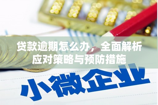 中正贷款逾期怎么办，全面解析应对策略与预防措施