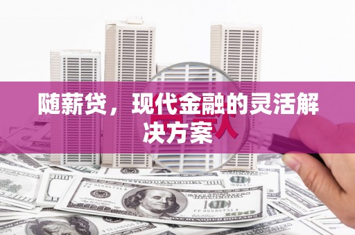 中正随薪贷，现代金融的灵活解决方案