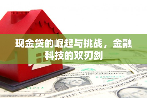 中正现金贷的崛起与挑战，金融科技的双刃剑