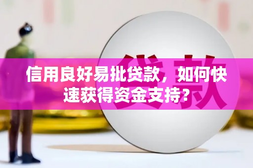 中正信用良好易批贷款，如何快速获得资金支持？