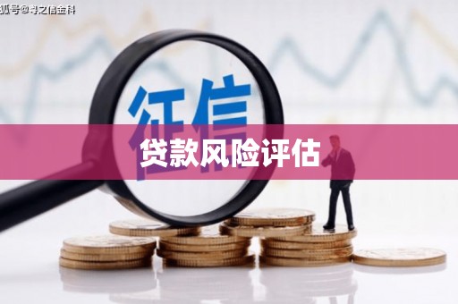 中正贷款风险评估