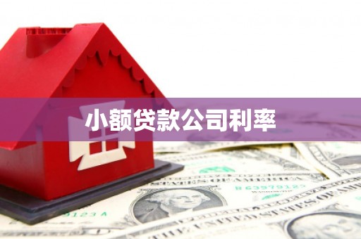 中正小额贷款公司利率