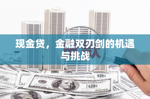 中正现金贷，金融双刃剑的机遇与挑战