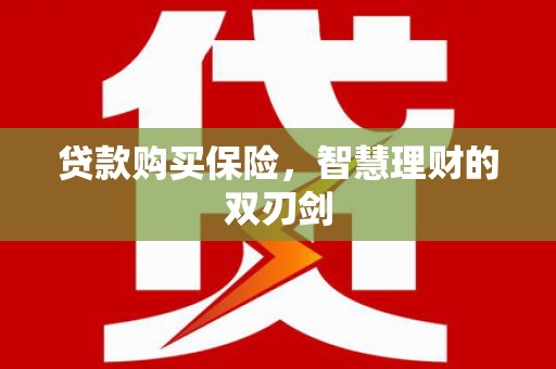 中正贷款购买保险，智慧理财的双刃剑