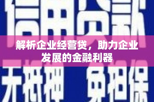 中正解析企业经营贷，助力企业发展的金融利器