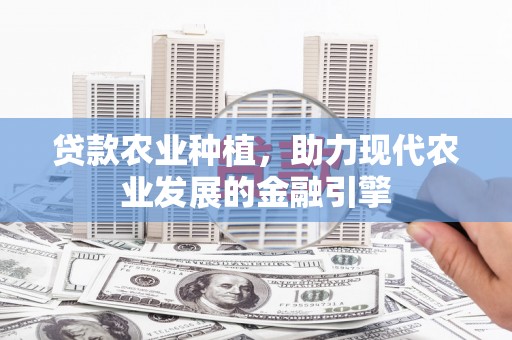 中正贷款农业种植，助力现代农业发展的金融引擎