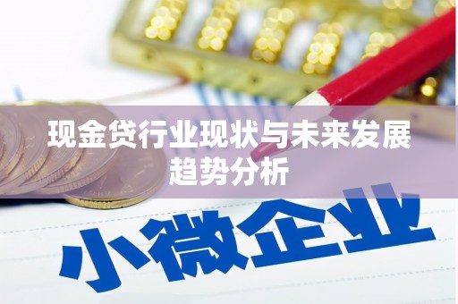 中正现金贷行业现状与未来发展趋势分析