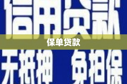 中正保单贷款