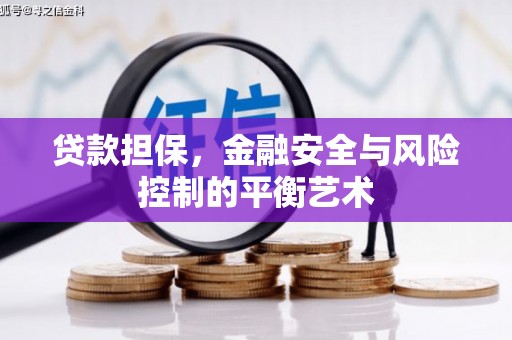 中正贷款担保，金融安全与风险控制的平衡艺术