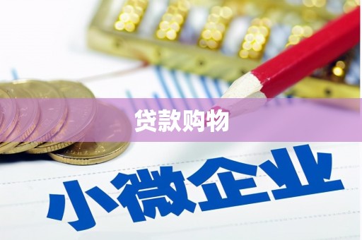 中正贷款购物