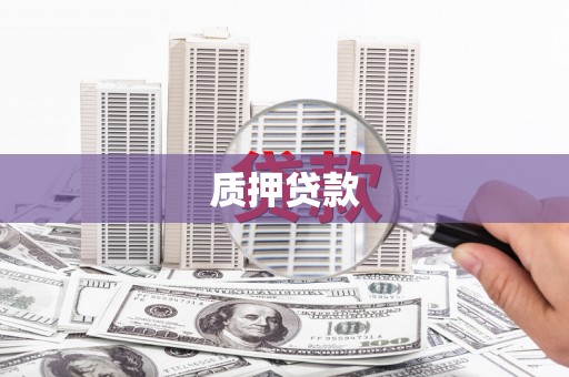 中正质押贷款