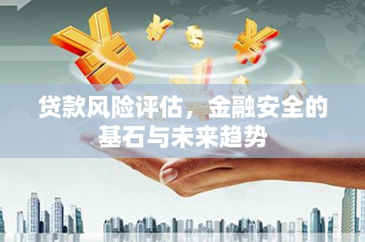 中正贷款风险评估，金融安全的基石与未来趋势