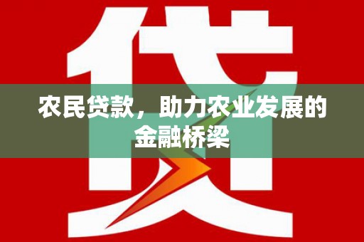 中正农民贷款，助力农业发展的金融桥梁
