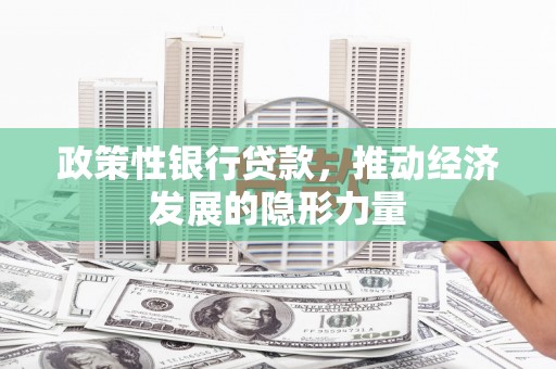 中正政策性银行贷款，推动经济发展的隐形力量