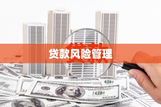 中正贷款风险管理