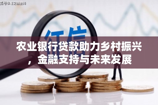 中正农业银行贷款助力乡村振兴，金融支持与未来发展