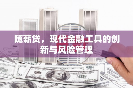 中正随薪贷，现代金融工具的创新与风险管理
