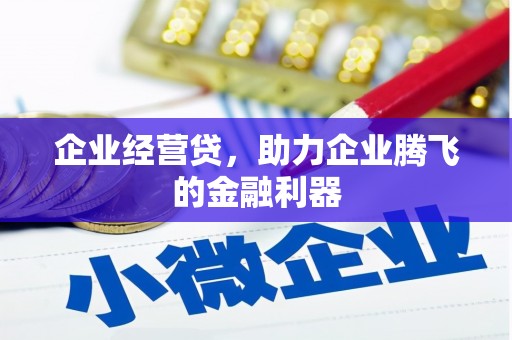 中正企业经营贷，助力企业腾飞的金融利器