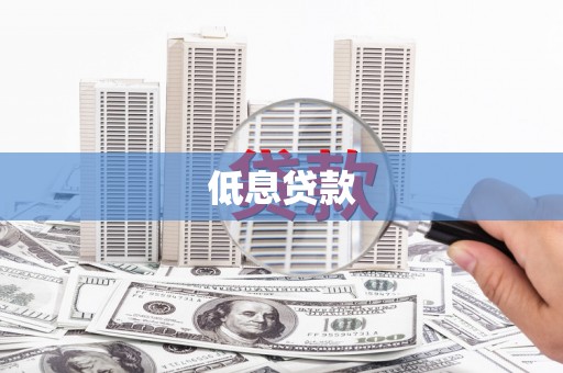 中正低息贷款
