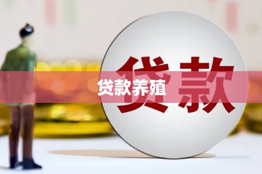中正贷款养殖