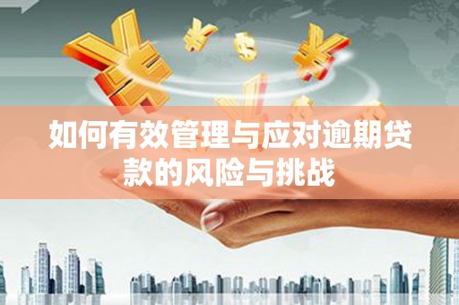 中正如何有效管理与应对逾期贷款的风险与挑战