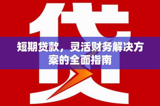 中正短期贷款，灵活财务解决方案的全面指南