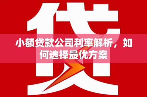中正小额贷款公司利率解析，如何选择最优方案
