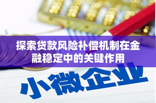 中正探索贷款风险补偿机制在金融稳定中的关键作用