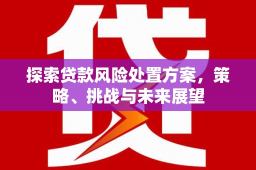 中正探索贷款风险处置方案，策略、挑战与未来展望