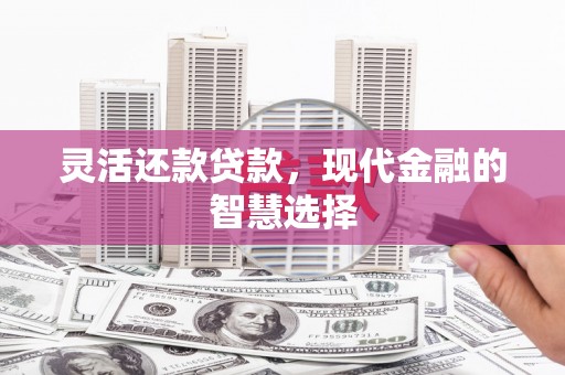 中正灵活还款贷款，现代金融的智慧选择