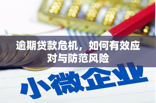 中正逾期贷款危机，如何有效应对与防范风险