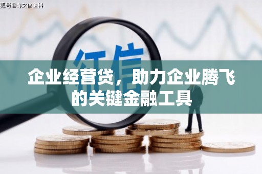 中正企业经营贷，助力企业腾飞的关键金融工具