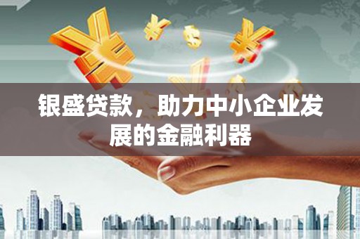 中正银盛贷款，助力中小企业发展的金融利器