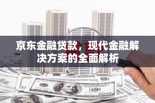 中正京东金融贷款，现代金融解决方案的全面解析