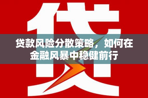 中正贷款风险分散策略，如何在金融风暴中稳健前行