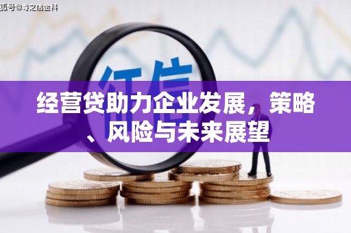中正经营贷助力企业发展，策略、风险与未来展望