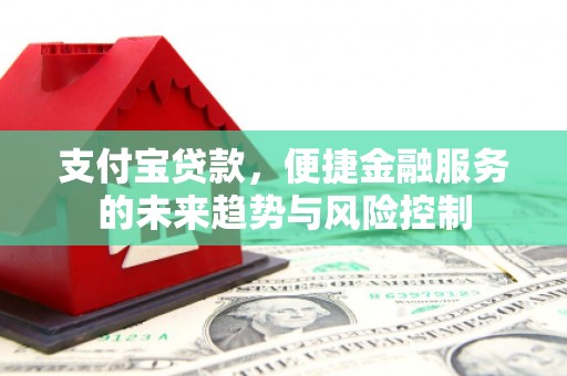 中正支付宝贷款，便捷金融服务的未来趋势与风险控制
