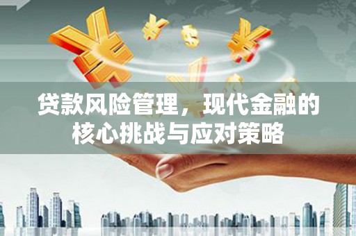 中正贷款风险管理，现代金融的核心挑战与应对策略