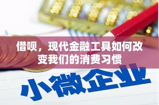 中正借呗，现代金融工具如何改变我们的消费习惯