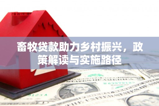 中正畜牧贷款助力乡村振兴，政策解读与实施路径