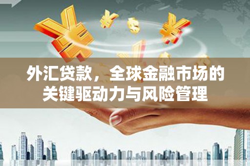 中正外汇贷款，全球金融市场的关键驱动力与风险管理