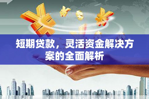 中正短期贷款，灵活资金解决方案的全面解析