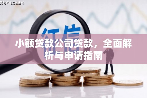 中正小额贷款公司贷款，全面解析与申请指南