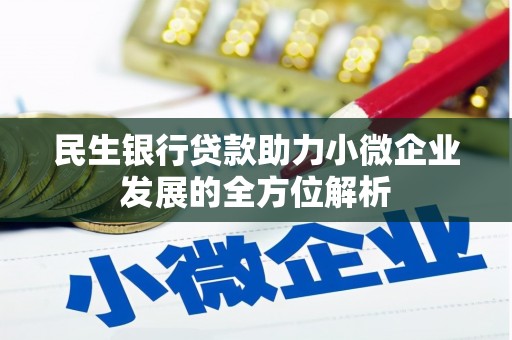 中正民生银行贷款助力小微企业发展的全方位解析