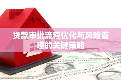 中正贷款审批流程优化与风险管理的关键策略