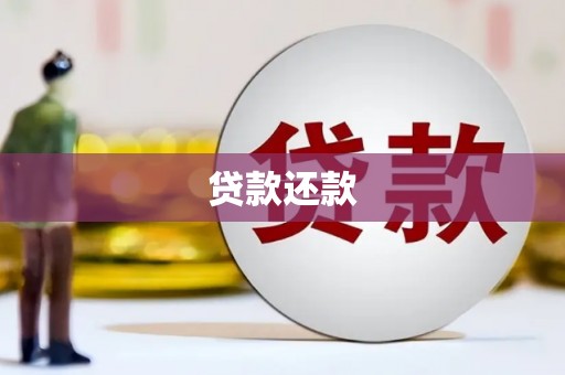 中正贷款还款